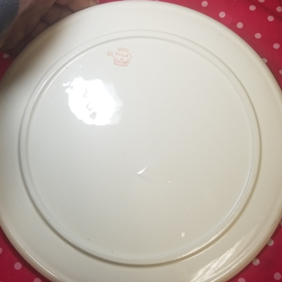 VINTAGE PHILA SUSSEX CHERRY CHINTZ GERMANY FLORAL - Picture 5 of 6